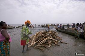 Katafoura - GuinÃ©e - Bois de palÃ©tuvier